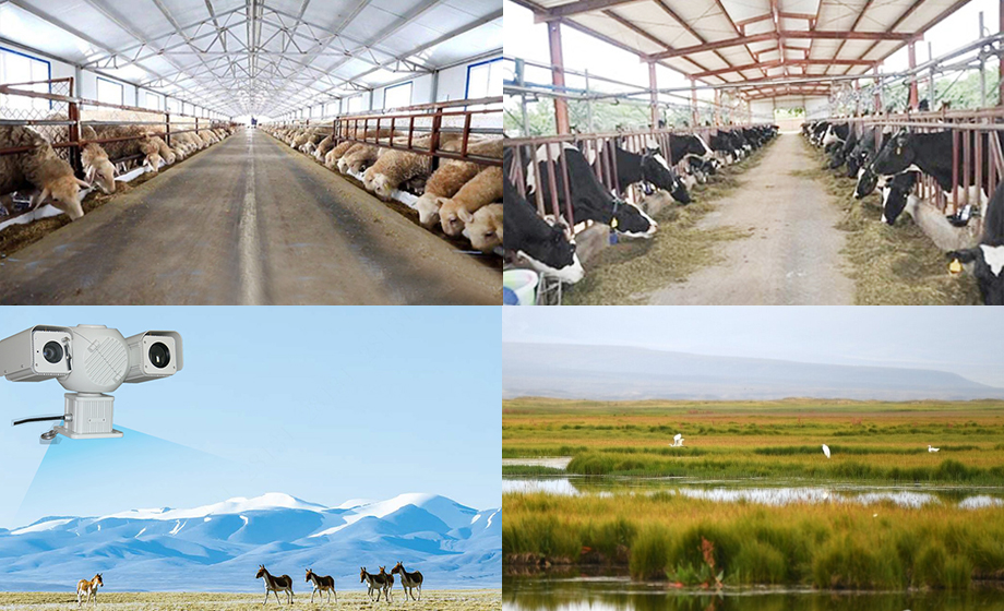 8公里無(wú)線通信模塊視頻監(jiān)控養(yǎng)殖場(chǎng)/自然保護(hù)區(qū)無(wú)線傳輸